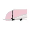 Thule Canoe carrier 579