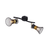 Globo 54814-2 - Spot svetiljka PURRA 2xE14/40W/230V
