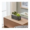 Eglo 428009 - Veštački sukulent u saksiji CHITOSE 14,5x17,8 cm