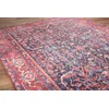 Conceptum Hypnose Tepih Blues -AL 354, 150x230 cm, Šareni