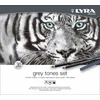 Lyra Rembrandt Art Specials Set svinčnikov Grey Tones 25 Kosov