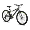 Galaxy Bicikl galaxy festina 26/18 siva/crna/neon zelena mat ( 650214 )