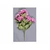 eoshop cvet HORTENGIJA POLETJE X7 7květů 60cm