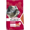 VL JUNIOR PLUS IC GOLOBI 20KG