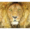 Lion and the Mouse