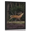 Plakat veličastni jelen - 30x45 no frame