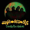 Electric Shields - Save Our Souls (LP)