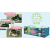 Lotus Box Jezero u kutiji S