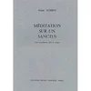 VOIRPY:MEDITATION SUR UN SANCTUS
