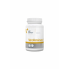 VetExpert VetAminex 60 kapsula