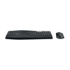 Logitech 920-008221 MK850 Standard Wireless RF Wireless + bluetooth QWERTZ black Mouse included (920-008221)