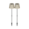 Globo 36635-2S - SET 2x LED solarno svetlo SOLAR LED/0,06W/3V IP44 sivo