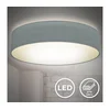 B.K. Licht 1393 - LED plafonsko svetlo LED/20W/230V sivo