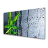 tulup.si Slika na steklu Bamboo leaf narava rastlin 140x70 cm 2 obešalnika