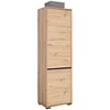 Carryhome GARDEROBNA omara antracit, hrast artisan