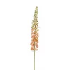 Umetna stepska lilija Eremurus marelična 105 cm - oranžna - 101 do 150 cm