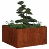 Sadilica boja hrđe 80x80x40 cm od pohabanog čelika
