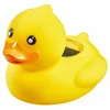 Termometar TFA 30.2031.07 Ducky