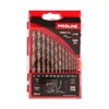 slomart Svedri za kovino Proline HSS-CO 5% DIN338, 13 kos (2-8mm)