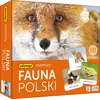 shumee POLJSKA FAVNA - SPOMIN ADAMIGA 7738