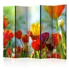 artgeist Paravan Spring Tulips I, 5-Delni, Dvostranski