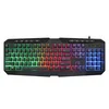 Tastatura Esuntec KBL-088