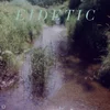 Benoit Pioulard - Eidetic (Limited Edition) (LP)