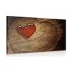 Slika srce na panju - 40x30