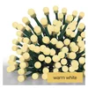 LED lanac 300xLED/230V/8 funkcija 35m IP44 topla bela