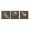 Plakati v kompletu 3 ks z okvirjem 30x30 cm Pampas – Styler