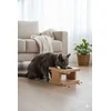 Paws & Whiskers Posuda za hranu za ljubimce, Šarena