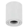 Plafonska lampa AFS118-1C WH