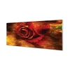 tulup.si Slika na akrilnem steklu Rose slika 140x70 cm 4 obešalnika