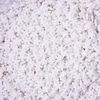 shumee Sladkorni posip SNOWFLAKES Beli 50 g konfeti