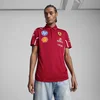 Mens Puma Scuderia Ferrari 2025 Team Polo T-Shirt, Red T-Shirt, Size XS T-Shirt, Clothing