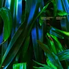 Anushka Chkheidze & Robert Lippok - Uncontrollable Thoughts (LP)