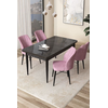 Hanah Home Set Trpezarijski sto i 4 stolice Arp, Crno-roze