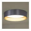 Duolla - LED plafonjera ROLLER LED/24W/230V prečnik 45 cm srebrna/zlatna