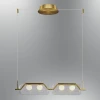 OPVIQ 3436 2AS 03 zlatni luster