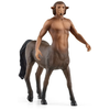 Schleich Harry Potter - Firence
