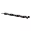 Digitus DN-95438 električni razdelilnik (PDU) 9 vtičnica(-e) AC 1U Črna, Srebrna