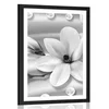 Plakat s paspartujem luksuzna magnolija z biseri v črnobeli varianti - 30x45 silver