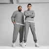 Mens Puma Essentials No. 1 Logo Jersey Pants, Gray, Size 4XL, Clothing