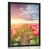 Plakat sončni vzhod nad travnikom tulipanov - 20x30 no frame