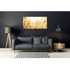 tulup.si Slika na steklu Klasje field narave 120x60 cm 2 obešalnika