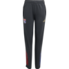 adidas Hlače OL TR PNT Y 2025/26