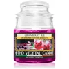 THD Italian Luxury Cranberry dišeča sveča 95 g