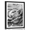 Plakat s paspartujem elegantna vintage vrtnica v črnobeli varianti - 20x30 no frame