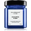 Vila Hermanos Apothecary Cobalt Blue Eucalyptus & Mint dišeča sveča 150 g