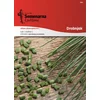 Seme drobnjak Mesium leaf